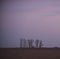 Landscape with windmill at sunset, Pampas,