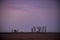 Landscape with windmill at sunset, Pampas,