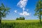 Landscape window, idyll with green meadow and wide sky