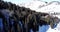 Landscape winter forest. Mountain area. A group of people goes and rides in the mountains on a snow-covered trail.