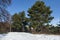 Landscape with winter forest, road and barrier in the snowy Vitosha mountain