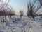 Landscape in winter in Maramures