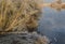 Landscape in Winter at the River Aller in the Town Rethem, Lower Saxony