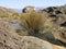 Landscape of Wolfberg Cracks in Cederberg