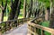 Landscape wooden bridge