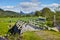 Landscape of wooden bridge in remote green countryside of Bodo in Nordland, Norway. Infrastructure and built crossing in