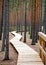 Landscape with a wooden footbridge in a swampy forest, tourist infrastructure, opportunity to get to know nature