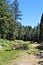 Landscape at Woods Canyon Lake, Coconino County, Arizona, United States