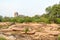 Landscape Yala National Park, Sri Lanka