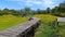 Landscape of yellow marigold flower beds in Asian agricultures farms and view mountain