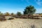 Landscape with yellow sand dunes, trees and plants and blue sky, National park Druinse Duinen in North Brabant, Netherlands