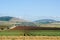 Landscape of Yezreel Valley