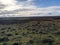 Landscape yorkshire moors