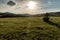 Landscape of Zlatibor Mountain