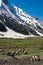 A landscape at Zojila Pass at the height of 3529 meter, Leh-Srinagar highway, Ladakh, India.