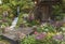 Landscaped backyard flower garden