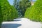 Landscaped formal garden white pathway flanked by shaped green