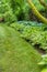 Landscaped garden scene with hosta plants