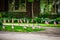 Landscaped house with big windows and many small American flags stuck in yard around drive in summer