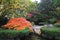 Landscaped Japanese garden