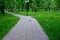 Landscaped path among the trees in the park