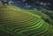 Landscaped Scenery View of Agriculture Rice Fields, Nature Landscape of Rice Terrace Field at Sapa, Vietnam. Panorama Countryside