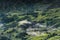 Landscaped Scenery View of Agriculture Rice Fields, Nature Landscape of Rice Terrace Field at Sapa, Vietnam. Panorama Countryside