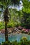 Landscaped tropical garden