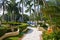 Landscaped tropical gardens