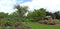 Landscaped urban park with walkways planted with beautiful trees