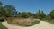 Landscaped urban park with walkways planted with beautiful trees