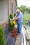 Landscaper planting trees