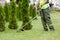 Landscaper worker cutting grass with string lawn trimmer