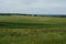 Landscapes of Alentejo, near Ã‰vora, Portugal