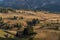 Landscapes on Alpe di Siusi with small cabins on grassland in autumn, South Tyrol, Italy