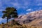 Landscapes in the beauty volcanos of Mexico