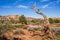 Landscapes of Canyonland National Park in Spring