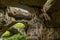 Landscapes from Devetashka cave Bulgaria