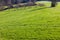 landscapes of eastern time at rural countryside in south germany