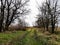 Landscapes of Europe. Forest steppe A narrow river on the autumn horizon