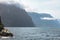 Landscapes of Fiordland National Park. Marine mammals on the rocks of the fjords. Navy seals. South Island, New Zealand