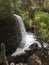 Landscapes of Gran Canaria - Palmitos Park