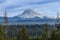 The landscapes of Kite Park with Mt rainier background.