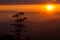 Landscapes morning mountain sunrise between silhouette of trees