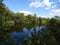 landscapes photography of Nottingham forest