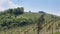 Landscapes of the Piedmontese Langhe of Barolo and Monforte d`Alba with their vineyards