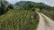 Landscapes of the Piedmontese Langhe of Barolo and Monforte d`Alba with their vineyards