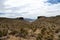 Landscapes on Pierce Ferry Road, Meadview. Grand Canyon National park, Arizona