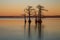 Landscapes of Reelfoot Lake Tennessee in Sunset