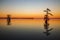 Landscapes of Reelfoot Lake Tennessee in Sunset